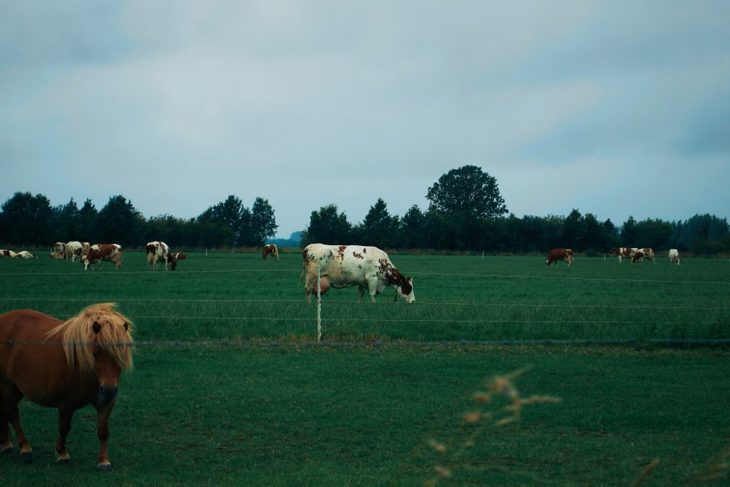 mustafa osman sly2ow7bnvc unsplash